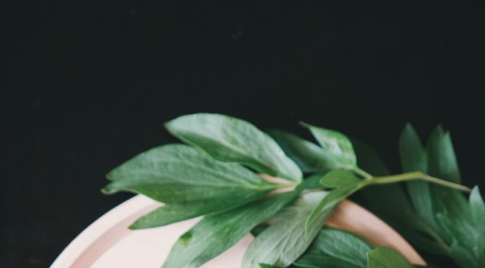 This Triple Berry Smoothie is All You’d Want to Drink This Summer